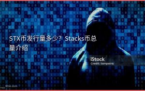 STX币发行量多少？Stacks币总量介绍