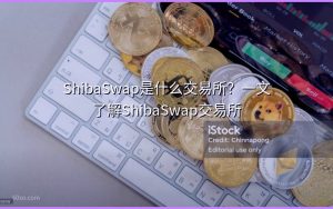 ShibaSwap是什么交易所？一文了解ShibaSwap交易所