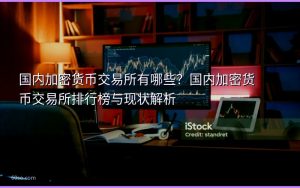 国内加密货币交易所有哪些?国内加密货币交易所排行榜与现状解析