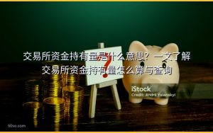 交易所资金持有量是什么意思?一文了解交易所资金持有量怎么算与查询