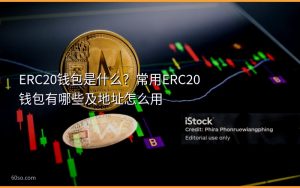 ERC20钱包是什么?常用ERC20钱包有哪些及地址怎么用