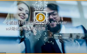 小狐狸钱包助记词怎么导入？MetaMask助记词导入教程图解
