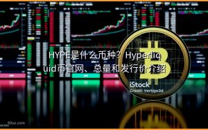 HYPE是什么币种?Hyperliquid币官网、总量和发行价介绍