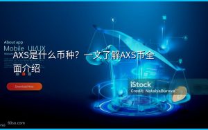 AXS是什么币种？一文了解AXS币全面介绍