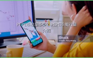 PEPE币总量多少?PEPE币发行量介绍