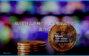 SUI是什么币种？一文了解SUI币全面介绍