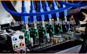 BRS是什么币种?BRS币值得投资吗?