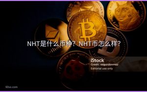 NHT是什么币种?NHT币怎么样?