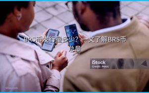 BRS币发行量多少？一文了解BRS币总量
