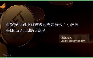 币安提币到小狐狸钱包需要多久?小白科普MetaMask提币流程