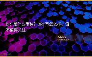 BRT是什么币种?BRT币怎么样、值不值得关注