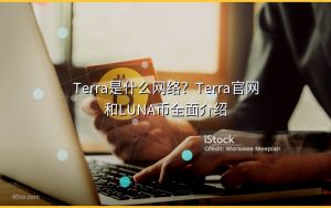 Terra是什么网络?Terra官网和LUNA币全面介绍