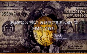 波场链是公链吗？波场链究竟怎么样？官网钱包全解析