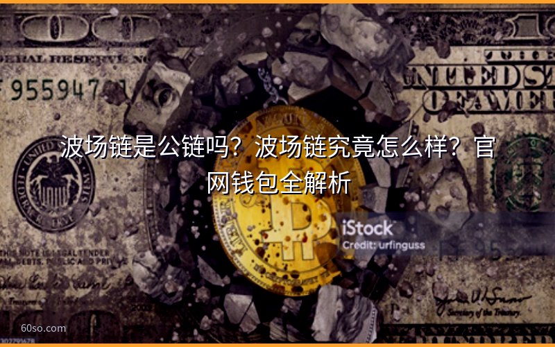 波场链是公链吗?波场链究竟怎么样?官网钱包全解析