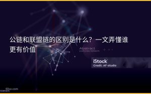 公链和联盟链的区别是什么？一文弄懂谁更有价值
