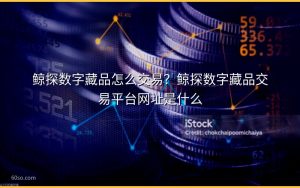 鲸探数字藏品怎么交易？鲸探数字藏品交易平台网址是什么
