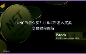 LUNC币怎么买？LUNC币怎么买卖交易教程图解