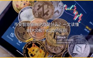 币安智能链BEP20是什么?一文读懂BEP20和TRC20的区别