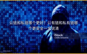 公链和私链哪个更好?公有链和私有链哪个更安全一文说清