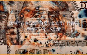 比特币市值占比下降是什么信号？代表牛市结束了吗一文说清