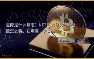 巨鲸是什么意思？NFT巨鲸和比特币巨鲸怎么看、在哪查一文读懂