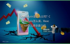 Chainalysis是什么公司？Chainalysis怎么读、Reactor怎么用全面介绍
