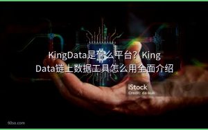 KingData是什么平台？KingData链上数据工具怎么用全面介绍