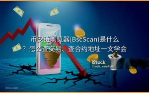 币安链浏览器(BscScan)是什么？怎么查交易、查合约地址一文学会