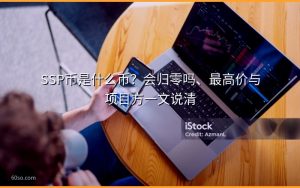 SSP币是什么币？会归零吗、最高价与项目方一文说清