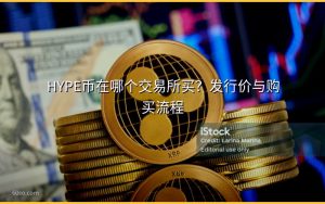 HYPE币在哪个交易所买？发行价与购买流程