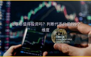 山寨币值得投资吗?判断代币价值的5个维度