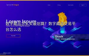 数字藏品怎么买最划算？数字藏品交易平台怎么选
