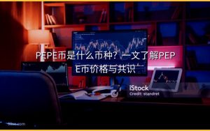 PEPE币是什么币种?一文了解PEPE币价格与共识