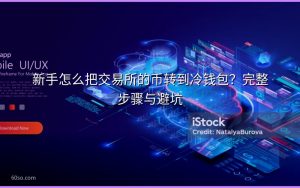 新手怎么把交易所的币转到冷钱包?完整步骤与避坑