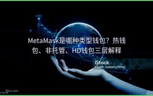 MetaMask是哪种类型钱包?热钱包、非托管、HD钱包三层解释