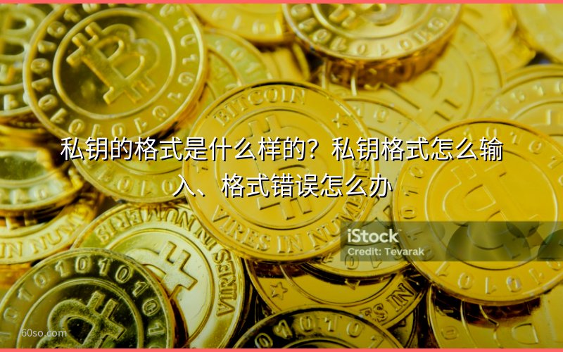 私钥的格式是什么样的?私钥格式怎么输入、格式错误怎么办