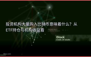 投资机构大量购入比特币意味着什么？从ETF持仓与机构收益看