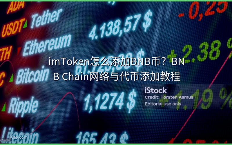 imToken怎么添加BNB币?BNB Chain网络与代币添加教程