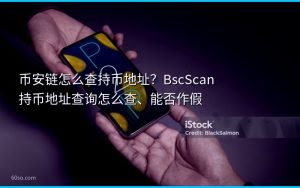 币安链怎么查持币地址？BscScan持币地址查询怎么查、能否作假