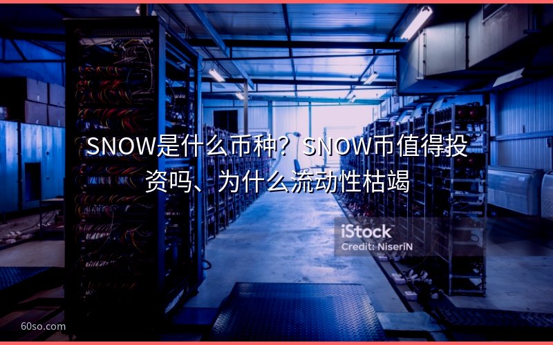SNOW是什么币种?SNOW币值得投资吗、为什么流动性枯竭