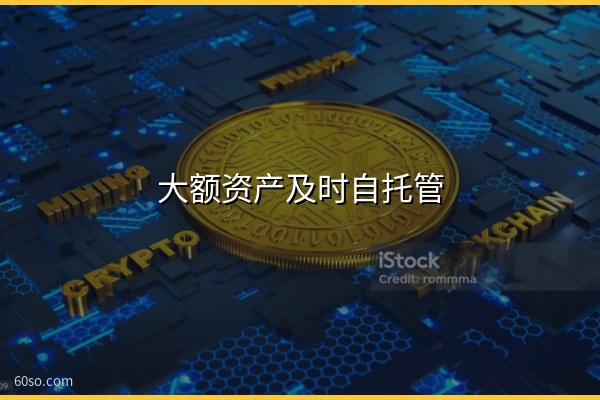 大额资产及时自托管